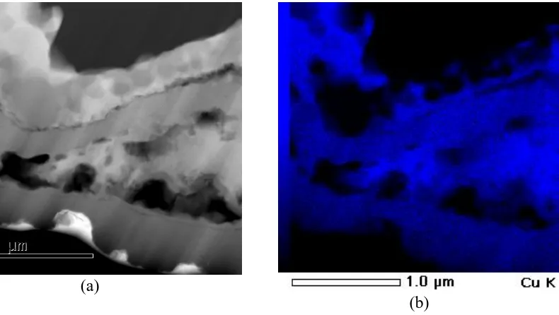 Fig. 6 (a) presents a STEM bright-field micrograph for the sample Cu/Ni(120 nm)/ta-Si 