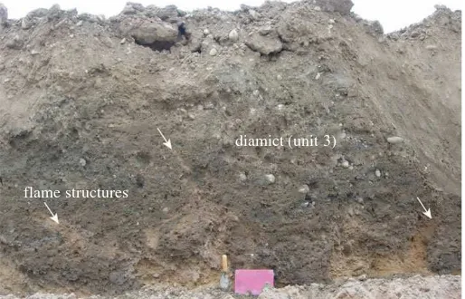 Figure 9. Diamict of unit 3. Involuted lower contact of diamict shows flame structures (indicated by arrows), inclined in variousdirections, of underlying sand and gravel extending up for as much as 0.5 m into the diamict