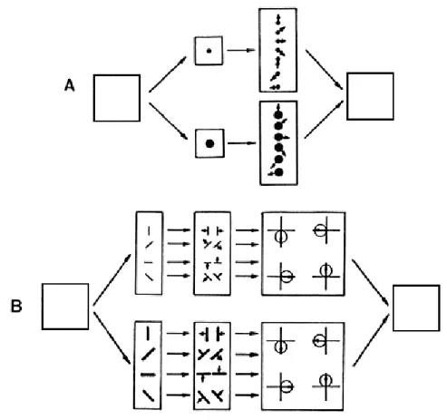 Fig. 6. Two models of the mechanisms underlying perceptual coherence. See text for discussion.