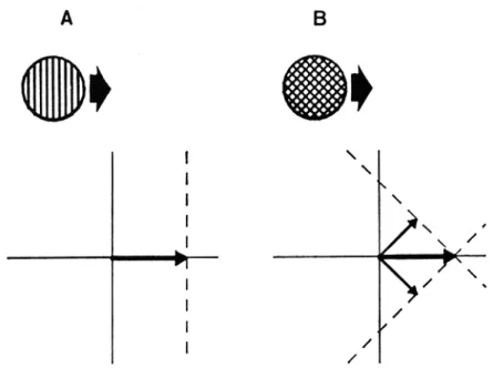 Fig. 4. A single grating  (A)  and  a  90  deg  plaid  (B),  and  the  representation  of  their  motions in velocity space
