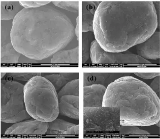 Table 1.  EDS results of the Sn-modified graphite powder expressed as weight percentage