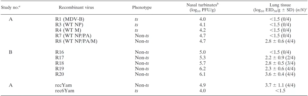 TABLE 4. Attenuation studies of recombinant viruses in ferrets