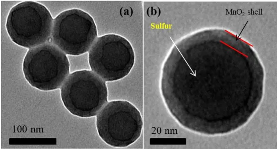 Figure 2.  The TEM images of yolk-shell MO/S composites at different magnification. 