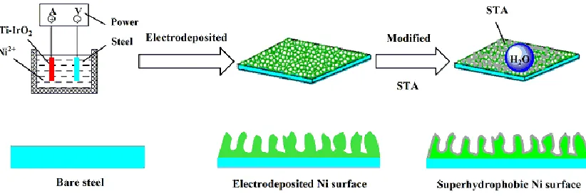 Figure 1. Schematic illustration of the fabrication of superhydrophobic Ni surface on the steel substrate