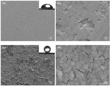 Figure 4. LSCM topographical images of bare steel surface (a) and superhydrophobic Ni surface (b)