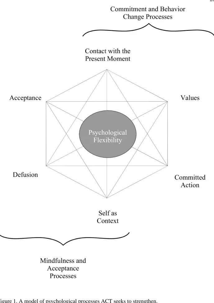 Figure 1. A model of psychological processes ACT seeks to strengthen. 