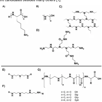 Figure 1 A) PLL, poly-L-lysine; B) LPEI, linear polyethylenimine prepared by hydrolysis of poly(2-ethyl-2-oxazoline); C) BPEI, branched polyethylenimine (partially); D) PAMAM, polyamidoamine dendrimer Generation 0; E) DAMP (3,3′-Diamino-N-methyldipropylami