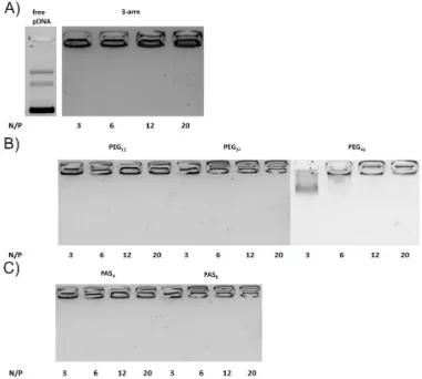 Figure 6 Retardation of formed pDNA complexes in agarose gel at N/P 3 to 20 with 