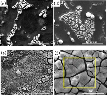 Figure  2. EDS micro area scanning result of yttrium-based conversion coating on AZ91D magnesium alloy immersed in 10 g/L Y(NO3)3 solution at 30 ℃ for 50 min (indicated by yellow box in Fig.1f)  