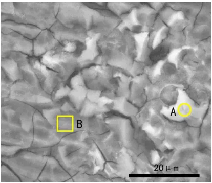 Figure  4. SEM surface morphology of the coating on AZ91D magnesium alloy immersed in 10 g/L Y(NO3)3 solution at 30 ℃ for 50 min, then dipped in  30% mass fraction of silica sol solution and naturally dried in air for 24 h followed by heating at 250 ℃ for 2 h   