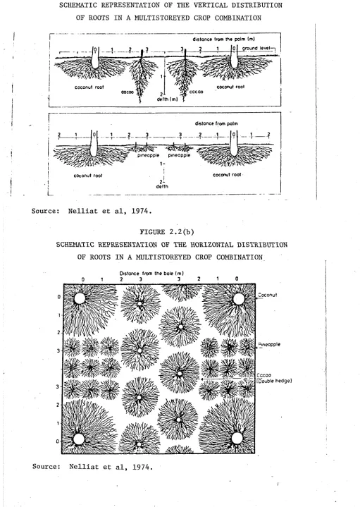 FIGURE 2.2(b)