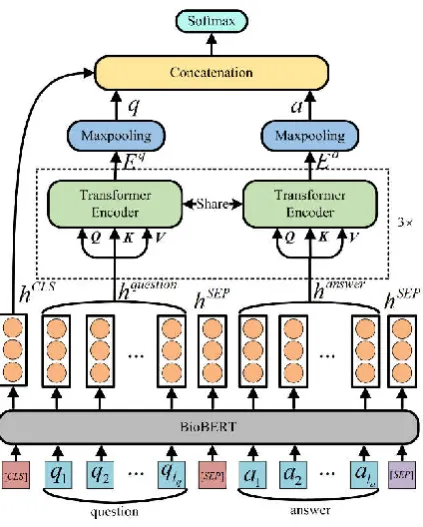 Figure 1: Architecture of BioBERT Transformer model. 
