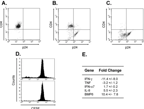 FIG. 2. Changes in gene expression induced by HIV infection. FACS analyses after 9 days of EC–T-cell coculture of (A) uninfected CD4�histogram of replicate uninfected cultures without sorting (top) and after sorting (bottom) for the CFSECD4Cytokine Superar