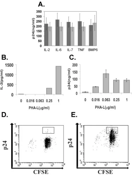 FIG. 4. TCRs and not cytokine signals provide minimal activationnecessary for HIV replication