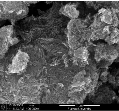 Figure 3.  SEM images of TiO2 nanotubes were prepared by hydrothermal method.  