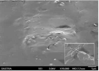Figure 1: Particle Size ranges from 9.25 to 19.89µm 