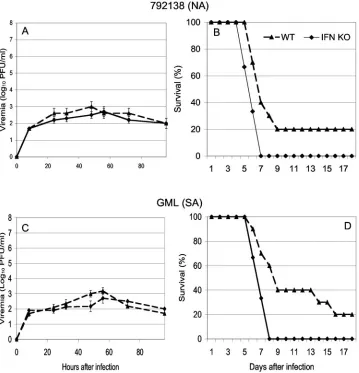 FIG. 8. Viremia and survival in strain 129 SV/EV IFN-�(B) compared to wild-type mice (mice were infected subcutaneously with 1,000 PFU