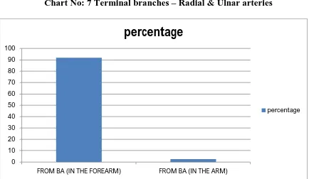 Table no : 7  Origin of terminal branches – Radial and Ulnar artery 