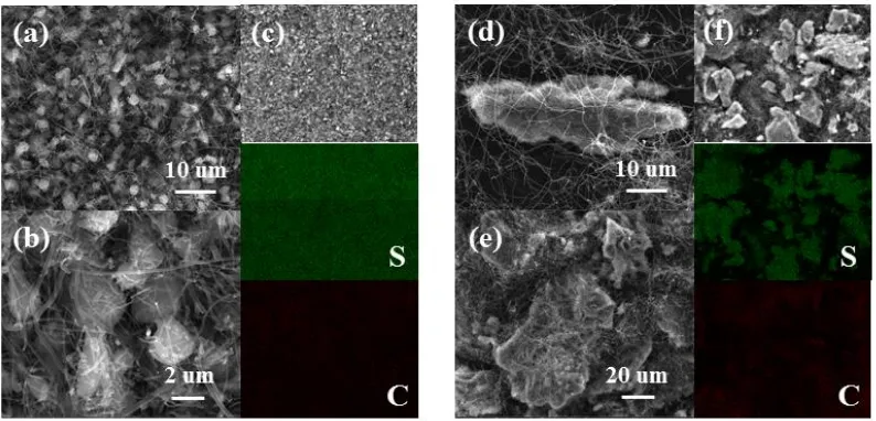 Figure 3.  SEM images of (a, b) LSC73 and (d, e) HSC73; EDS mapping of (c) LSC73 and (f) HSC73  