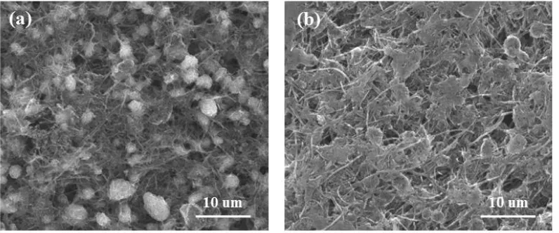 Figure 6.  SEM images of LSC73 cathode (a) before cycle and (b) after cycles 
