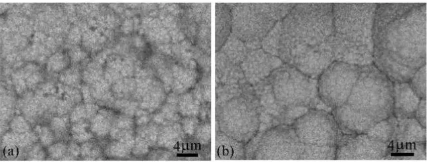 Figure 4. SEM images of the Cu-Mo films electrodeposited in the solution including 0.5 mol/L sodium molybdate dehydrate at (a) an amplitude of 11 mA/cm2 and a frequency of 0.5 MHz, and (b) at an amplitude of 28 mA/cm2 and a frequency of 1 MHz
