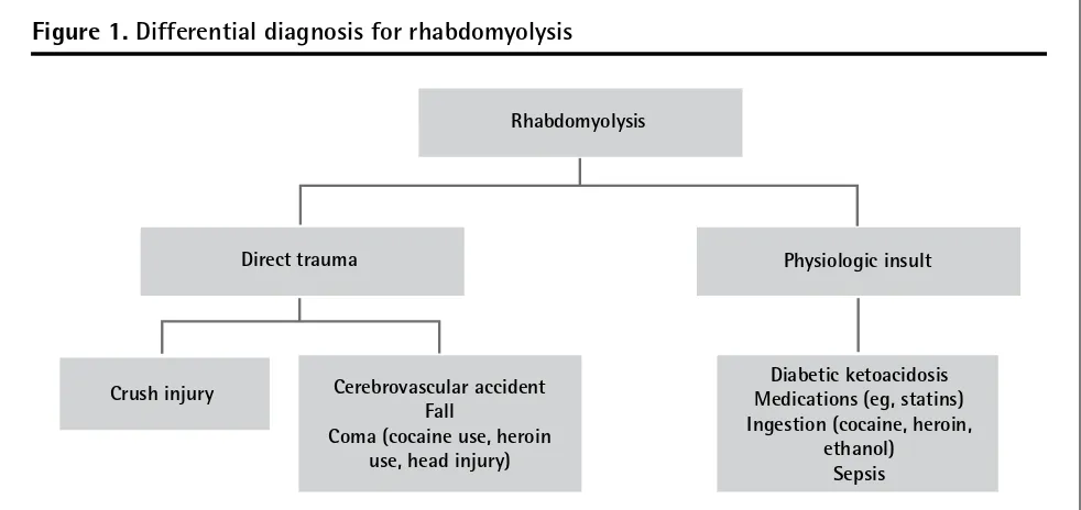 Figure 1. Differential diagnosis for rhabdomyolysis