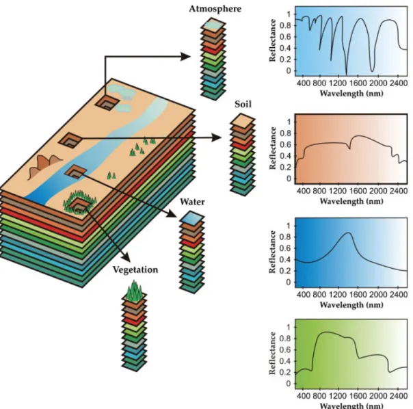 Figure 1. The concept of remotely sensed hyperspectral imaging.