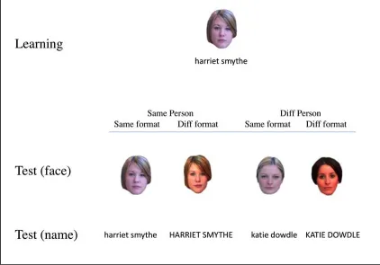 Figure 1 Example of a learning item and test items for each condition of Experiment 1