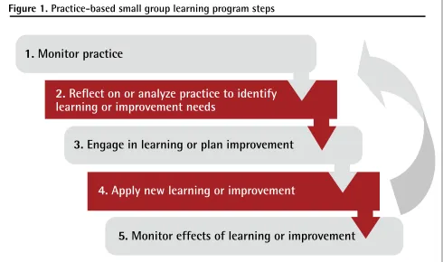 Figure 1. Practice-based small group learning program steps