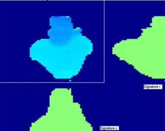 Figure 3. Image illustrating the r i  and c i  vectors  obtained out of an image. 