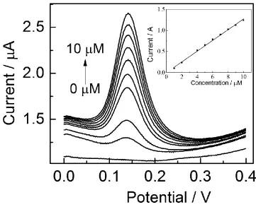 Figure 7.  Square wave voltammetry in the potential range 0 to + 0.4 V at carbon-black modified glassy carbon (CB-GCE) in 0.1 M phosphate buffer with continual addition of dopamine (DA) such that [DA] varies between 0 μM to 10 μM