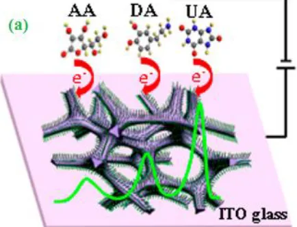 Figure 2. (a) Schematic of the ZnO NWA/GF electrode and detection of UA, DA, and AA. (b) SEM images of the ZnO NWAs on the 3D GF at different magnifications