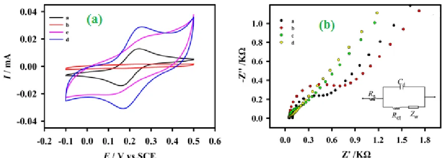 Figure 3.  CVs (a) and EIS (b) of bare GCE (a), GO/GCE (b), PDA-rGO/GCE (c), and Fc-NH-PDA-rGO/GCE (d) in 2mM Fe(CN)63-/4- containing 0.1 M Na2SO4