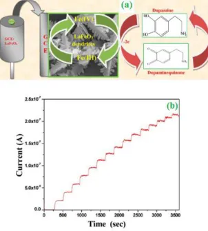 Figure 5. (a). Schematic illustration of electrocatalytic dopamine oxidation at the LaFeO3 dendrite nanostructure modified GCE