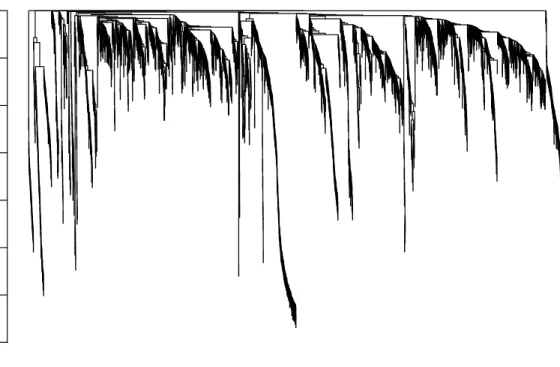 Figure 2: Clustering dendrogram of genes, with dissimilarity based on topological overlap.