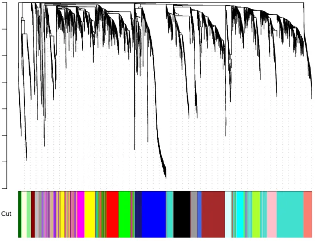 Figure 3: Clustering dendrogram of genes, with dissimilarity based on topological overlap, together with assigned module colors.