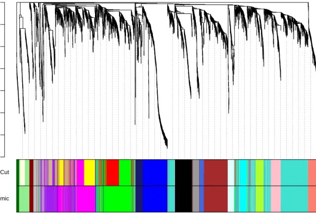 Figure 5: Clustering dendrogram of genes, with dissimilarity based on topological overlap, together with assigned merged module colors and the original module colors.