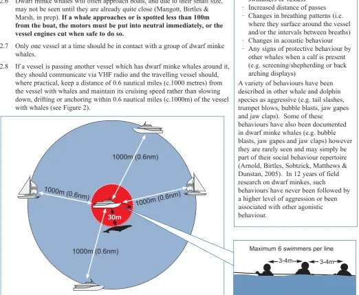 Figure 2: Best Practice Vessel Approach Distances Protocol for interactions with dwarf minke whales