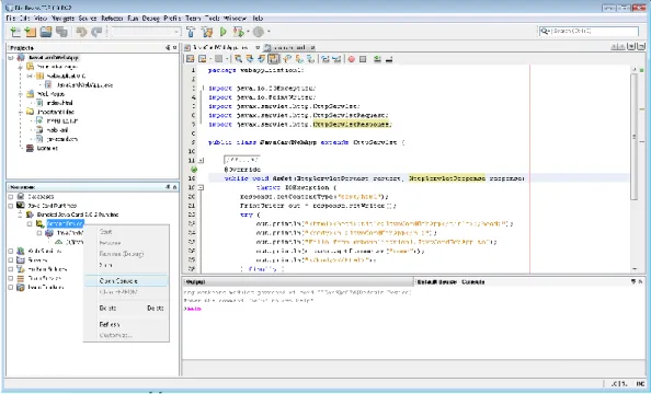 Figure 4.2: NetBeans development platform (NetBeans IDE [referred 05.04.2011]) 