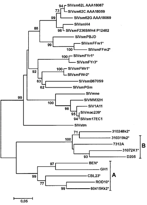 FIG. 1. Evolutionary relationships among HIV-2, SIVsm, andSIVmac Nef sequences. A phylogenetic tree was constructed using the