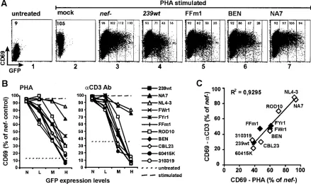 FIG. 5. HIV-2 and SIVsm nef(panels 1 and 2), transfected with a plasmid expressing GFP alone (panel 3), or transfected with plasmids expressing GFP together with the 239wt,FFm1, BEN, and NA7shown relative to those measured on Jurkat T cells transfected wit