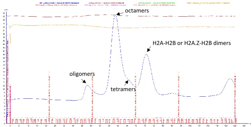 Figure 2.4.1 Gel filtration elution profile of recombinant octamers. Recombinant assembled octamers were separated using a Superdex2000 column (GE) and the Äcta pure system (GE)