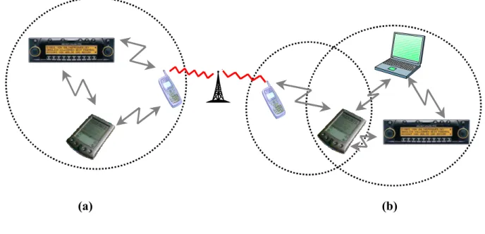 Figure 2: Pico Net (a) and Scatter Net (b) 