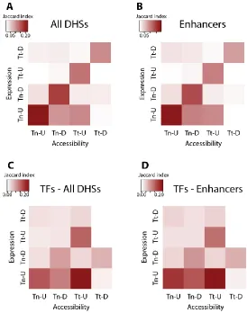 Figure 9: Dynamics measured by ImpulseDE2 demonstrate correlation between accessibility and expression, as well as complex regulatory mechanisms for Tn-U genes