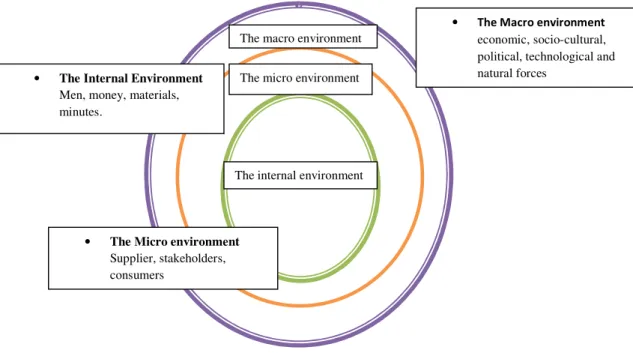 Figure 1: The environment of the company: Macro, micro and internal. (Kotler, 1999. p
