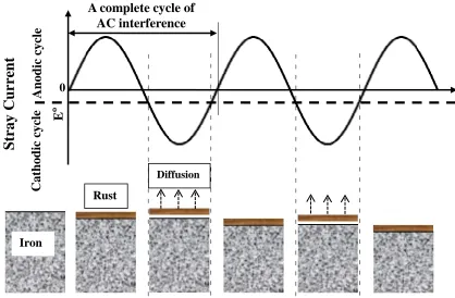 Figure 5.  Schematic mechanistic diagram of the electrochemical process of the stray AC induced corrosion