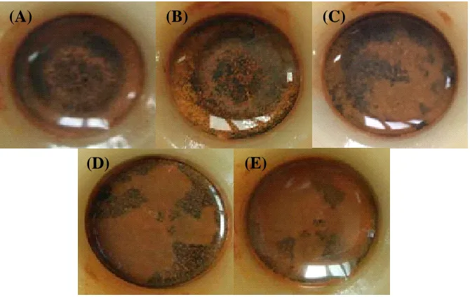 Figure 6. Images of X70 disk samples at various stray AC current densities of (A) 0 A/m, (B) 30 A/m2, (C) 100 A/m2, (D) 200 A/m2, and (E) 300 A/m2 in Dagang simulated soil solution