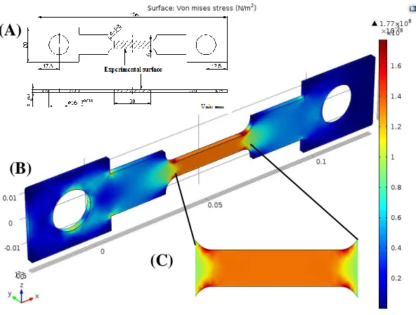 Figure 1.  The test sample and the simulation of stress distribution. (A) Sample dimension, (B) Von Mises stress simulation, and (C) Detailed distribution of Von Mises stress on the test surface
