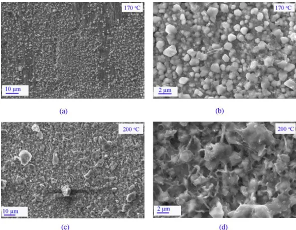 Figure 11.  SEM morphologies of the copper surface in the 70 wt. % LiNO3 solutions at pH 9.7 and temperatures of 170 °C and 200 °C for 200 h 