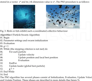 Fig. 3. Birds or fish exhibit such a coordinated collective behaviour 